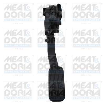 Accelerator Pedal Unit